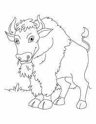 Like the bison, it prefers to be fed with ferns or sesame trees rather than fighting. Bison Coloring Page Animals Town Animal Color Sheets Bison Picture Coloring Library