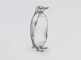 レッスンギャラリー おしゃれまとめの人気アイデア pinterest artlessons アートレッスン アート ペンギン
