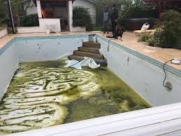 Renovation Piscine Cote Basque Et Landes Bc Liner