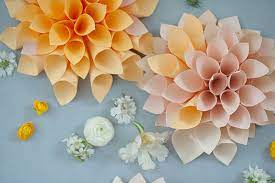 The first step is to create the petals. The Best Paper Flower Tutorials Hey Let S Make Stuff