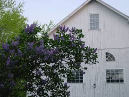 How to draw a barn. Pa Barn Tours Draw Bumper Crop Of Aficionados