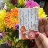 Check spelling or type a new query. Top 938 Avas Flowers Reviews Page 25