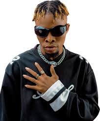 Patricia Louise Tripp Obituary March 1, 2025