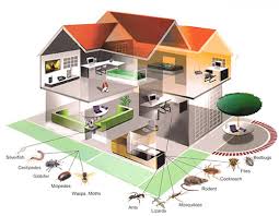 They take the time to. San Jose Pest Control For Residential Commercial Habitat Pest Control