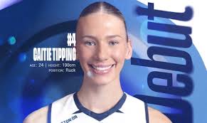 Cats Fall Short in Hawkins' Record Breaking Night