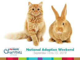 Plus they sit on the scale for a. Petsmart National Adoption Weekend Edmonton Humane Society