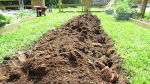 Here you may to know how to dig a garden bed. How To Dig Your First Earth Bed Vegetable Garden A Cherry Tomato Hedge All The Steps In Detail Youtube