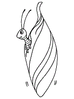 Caterpillar coloring pages for preschool. Butterfly And Caterpillar Coloring Pages And Printable Activities