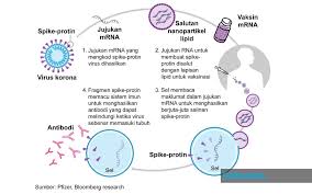 Mengutip ap news, minggu (20/6/2021), data tersebut belum memasukkan semua data uji klinis vaksin pada 40 ribu orang di amerika latin dan eropa. Tinta Minda Bernama Benarkah Mrna Vaksin Boleh Mengubah Genetik Manusia