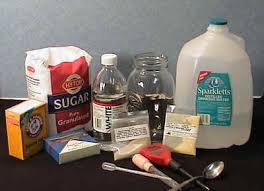 Image result for plant tissue culture