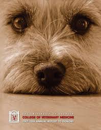 FY2008 Annual Report