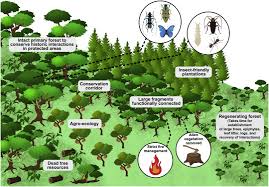 After application, this secondary pest's population numbers shoot up (if needed, refer back to the graph). Solutions For Humanity On How To Conserve Insects Sciencedirect