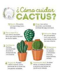 Dicen que una imagen vale más que mil palabras, ¿verdad? Captus Lovers El Salvador Facebook