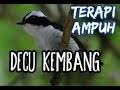 Decu kembang lagu mp3 download from lagump3downloads.com. Download Suara Decu Kembang Bakalan Mp3 2 3 Mb Kicau Siburung Com