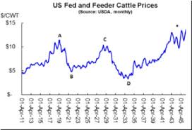 What To Expect Next From The Cattle Super Cycle Hi Pro Feeds