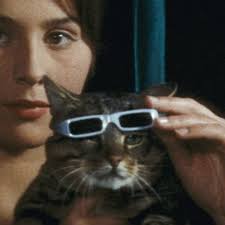 Karin Chien (@producerkarin)