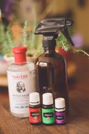 Now, for those of you who love young living essential oils, i have done some research for you! Diy Bug Spray Non Toxic Safe For Kids She Got Guts