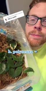 How to Leave Poly Root Finder Help