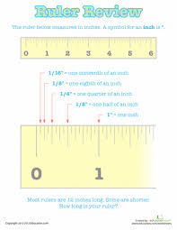 How To Read A Ruler Worksheet Education Com Reading A Ruler Math Measurement Homeschool Math
