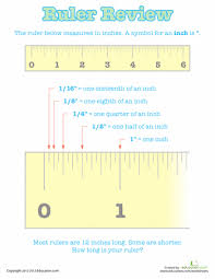 Measure the length of the subs and sell them. How To Read A Ruler Worksheet Education Com Reading A Ruler Homeschool Math Math Measurement