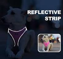Amazon.com : haapaw Dog Harness with Leash Set, No Pull ...