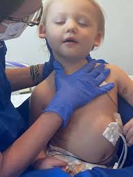 Jasper's happy life with new family in McLean IL