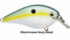 tacklefreaks com strike king hc kvd 1 5 squarebill crankbait