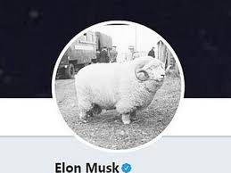 Musk owns a tesla roadster car 0001 (the first one off the production line) from tesla motors, a. Images Of Elon Musk Anime Profile Pic Meme