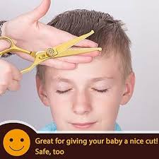 6 Inch Kids Hair Cutting Scissors Safety Rounded Tips Kids Haircut Scissors  Hair Cutting Shears for Children, Baby, Toddler, Girls, Boys, Men, Women  Japanese Stainless Steel Gold : Amazon.ae: Beauty