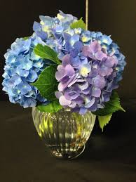 Piano's flowers & gifts inc. Pianos Flowers Gifts Inc