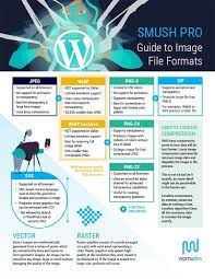 Image File Format Infographic Infographic Format Tech Apps