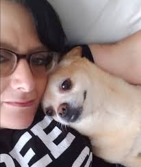 Create angel wings and rainbow bridge photos?