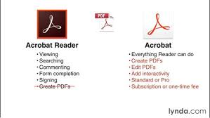 understanding the differences between adobe acrobat and