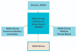 Ndp Flow Chart Jpg Office Of Marine And Aviation Operations