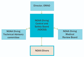 ndp flow chart jpg office of marine and aviation operations