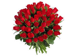 Jr roses wholesale flowers miami. Red Roses 100 Stems Buy Online J R Roses Wholesale Flowers Red Rose Bouquet Flower Delivery Flowers Online