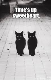 Time S Up Lolcats Lol Cat Memes Funny Cats Funny Cat Pictures With Words On Them Funny Pictures Lol Cat Memes Lol Cats