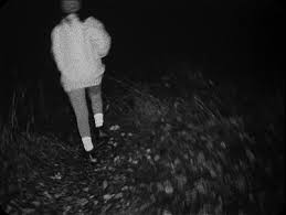 The Blair Witch Project Heather Donahue Blair Witch Project Blair Witch The Woman In Black