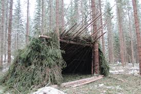 Check spelling or type a new query. How To Make A Forest Shelter Chris Mount