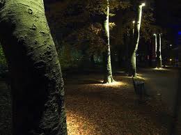 Licht Entdecken Aussenraumbeleuchtung Vegetation Aussenbeleuchtung Beleuchtung Aussen