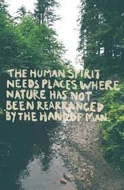  150 Wanderlust Ideas Travel Quotes Inspirational Quotes Words