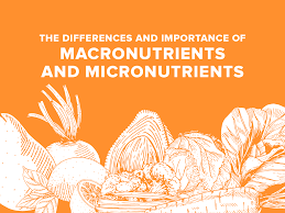 Macro nutrients are those necessary to be consumed in larger quantities and micro nutrients are required in lesser quantities. The Differences And Importance Of Macronutrients And Micronutrients Usana Philippines
