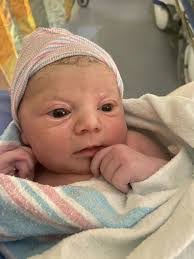 Al Priester's Instagram, Twitter & Facebook