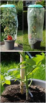 Tomatenhut Starter Set 9tlg Jetzt Bestellen Bei Tom Garten Pflanzen Garten Pflanzen