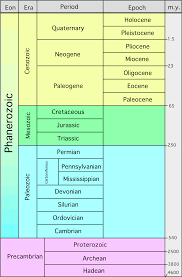 Index Fossil The K T Extinction P T Extinction Index F