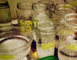 Here you may to know how to grow epsom salt crystals. How To Grow Salt Crystals Overnight Babble Dabble Do