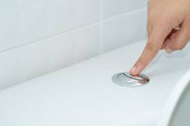 Cleaning the bowl and removing its contents. Canister Flush Valve Vs Flapper Pick A Toilet