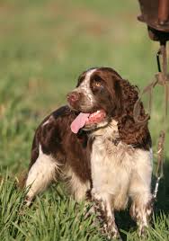 We did not find results for: Accueil Ficif