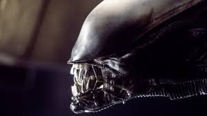 alien every stage in the xenomorphs gruesome life cycle