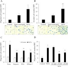 The cancer cell line encyclopedia consortium & the genomics of drug sensitivity in cancer consortium nature doi the box plot is sorted and colored by average distribution of a gene's expression in a lineage. Plos One Cancer Cell Induced Neutrophil Extracellular Traps Promote Both Hypercoagulability And Cancer Progression